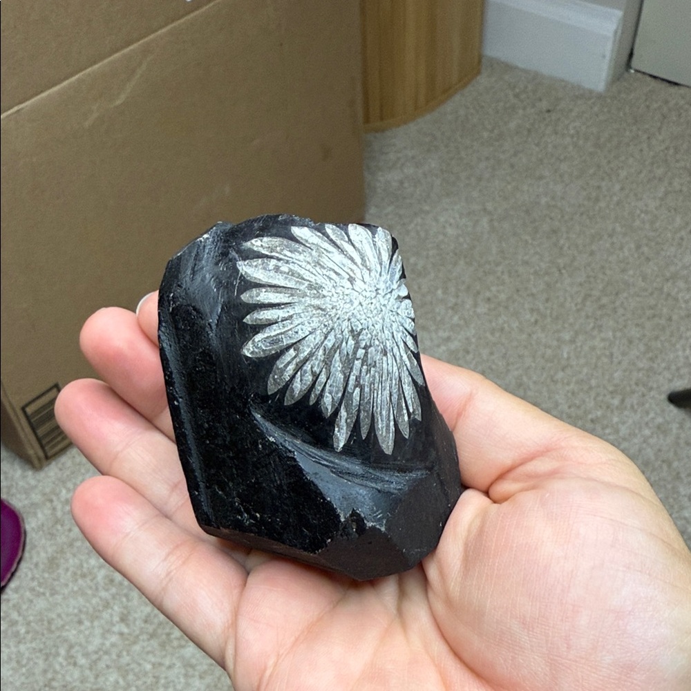 Chrysanthemum Crystal